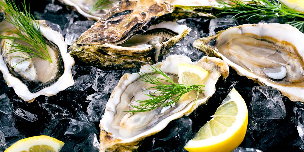 Oléron oysters to taste in Charente Maritime